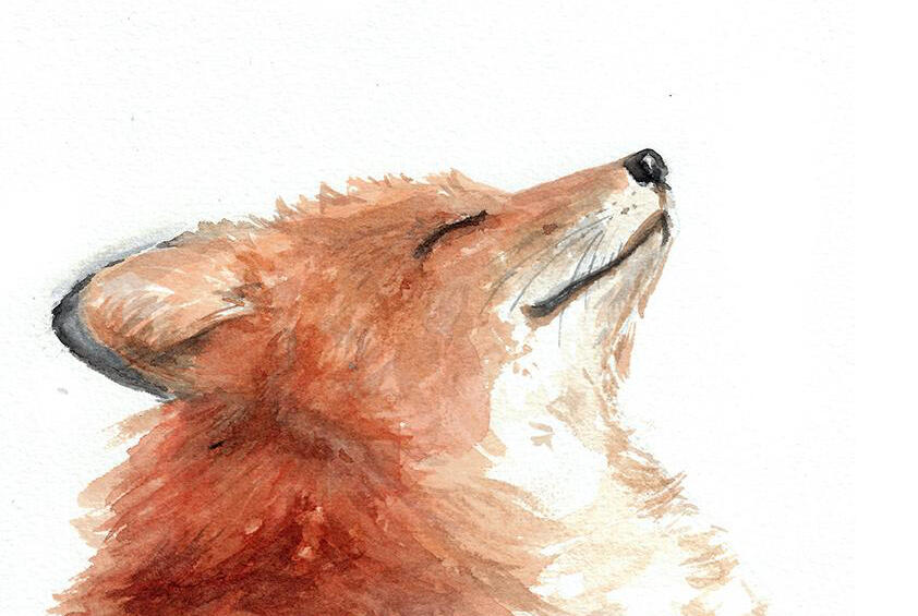 29.08.2025 ❊ 18:00-20:00 Uhr | (Fell-)Tiere mit Mary-Lou
